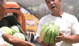 吃瓜爆料缅北事件是真的吗,吃瓜爆料真相揭晓