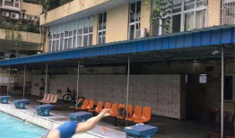 美国91岁健忘症爷爷直播,回忆与生活的奇妙交织”